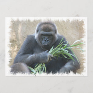 Silverback Gorilla Invitation