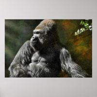 SILVERBACK GORILLA LEADER