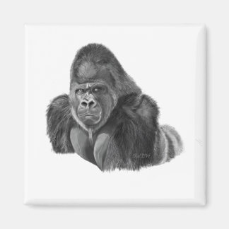 Silverback Gorilla Magnet GORILLA MAGNET