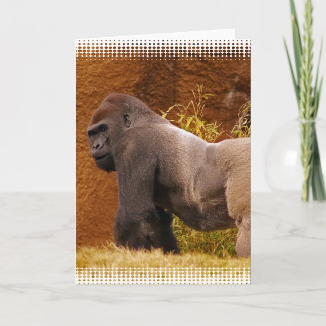 Silverback Gorilla Photo Greeting Card (Front)