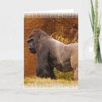 Silverback Gorilla Photo Greeting Card