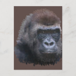 Silverback Gorilla Postcard