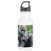 silverback gorillas