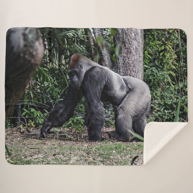 SILVERBACK GORILLOA SHERPA BLANKET (Front (Horizontal))