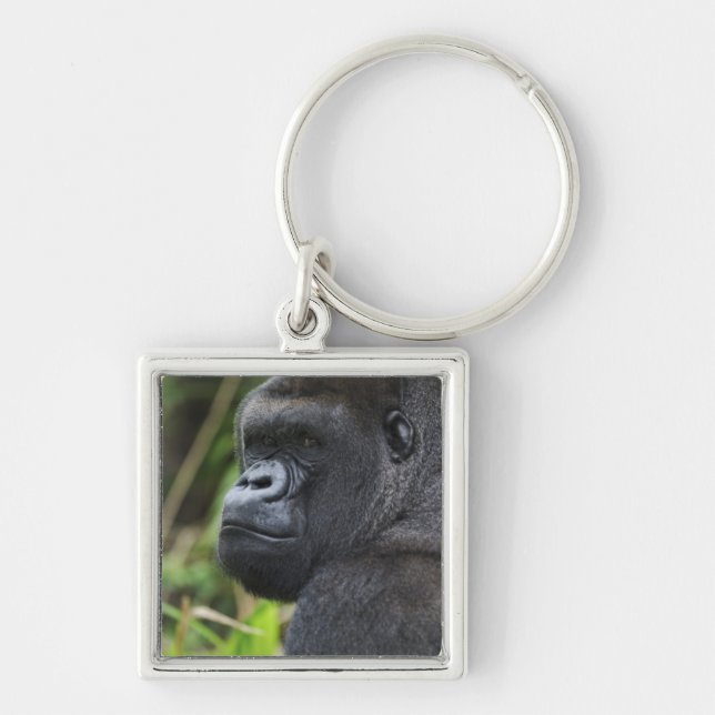 Silverback Lowland Gorilla, Gorilla Captive Key Ring (Front)
