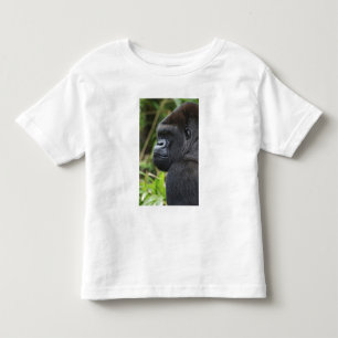 Silverback Lowland Gorilla, Gorilla Captive Toddler T-Shirt