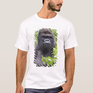 Silverback Lowland Gorilla, Gorilla gorilla, T-Shirt