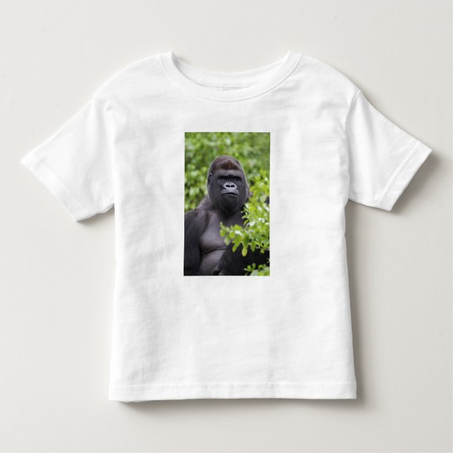 Silverback Lowland Gorilla, Gorilla gorilla, Toddler T-Shirt (Front)