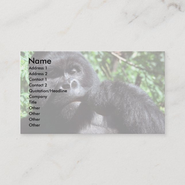 Silverback male gorilla business card (Front)
