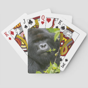 Silverback Mountain Gorilla Playing Cards