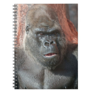 Silverback Oumbi Notebook