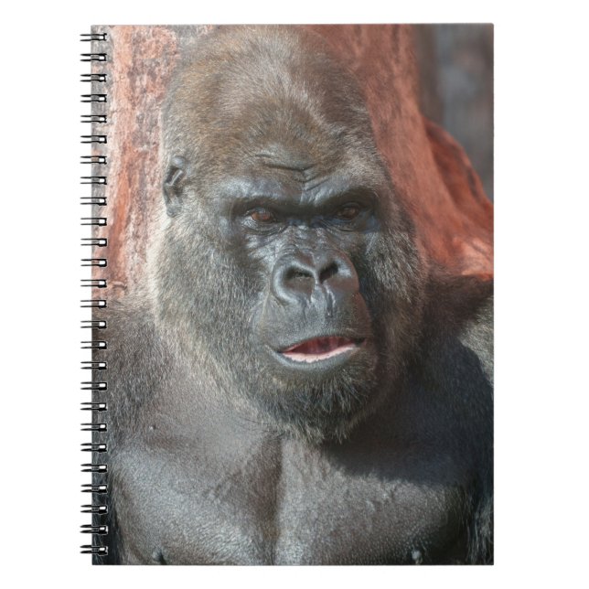 Silverback Oumbi  Notebook (Front)