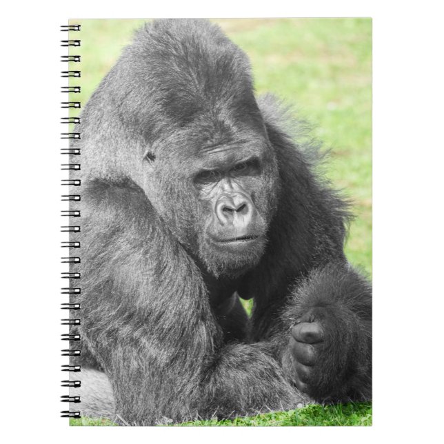 Silverback Takes the Spotlight Notebook (Front)