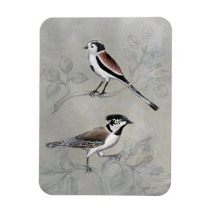 Silvered Aviary A Pair Magnet