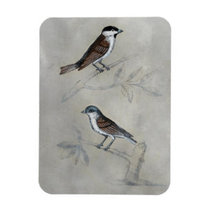 Silvered Aviary   A Pair Of Birds Magnet