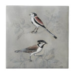 Silvered Aviary | A Pair Tile<br><div class="desc">This watercolor print features two birds perched in a tree | By Naomi McCavitt</div>