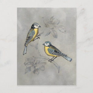 Silvered Aviary Bird Couple Postcard