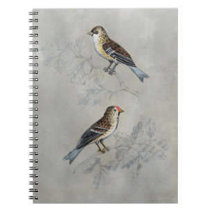 Silvered Aviary Two Birds Notebook