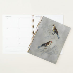 Silvered Aviary   Two Birds Planner
