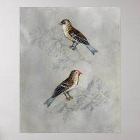 Silvered Aviary | Two Birds
