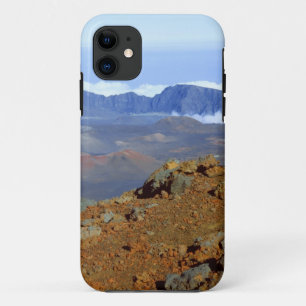 Silversword on Haleakala Crater  Rim from near 2 Case-Mate iPhone Case