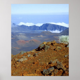 Silversword on Haleakala Crater  Rim from near 2 Poster