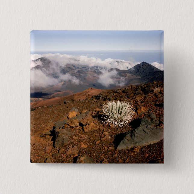 Silversword on Haleakala Crater  Rim from near 3 15 Cm Square Badge (Front)