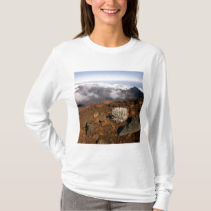 Silversword on Haleakala Crater  Rim from near 3 T-Shirt