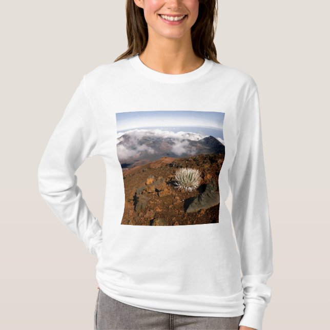 Silversword on Haleakala Crater  Rim from near 3 T-Shirt (Front)