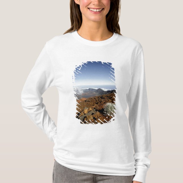 Silversword on Haleakala Crater  Rim from near T-Shirt (Front)