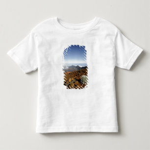 Silversword on Haleakala Crater Rim from near Toddler T-Shirt