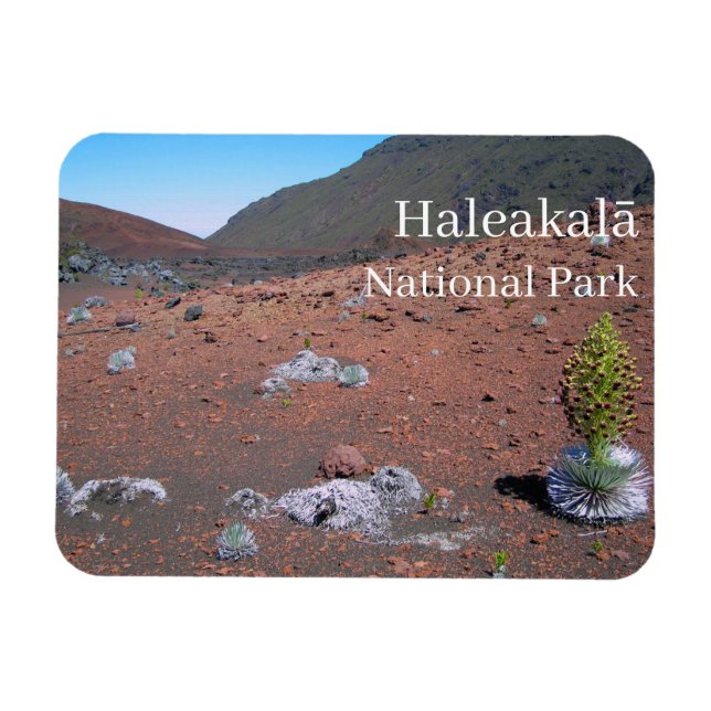 Silversword, Sand Dunes, Haleakalā National Park  Magnet (Horizontal)