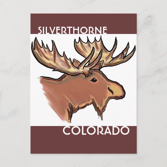 Silverthorne Colorado brown moose postcard (Front)