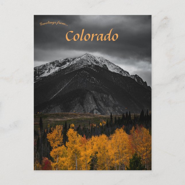 Silverthorne Colorado Postcard (Front)