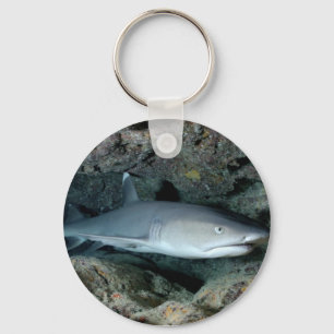 Silvertip Shark Key Ring