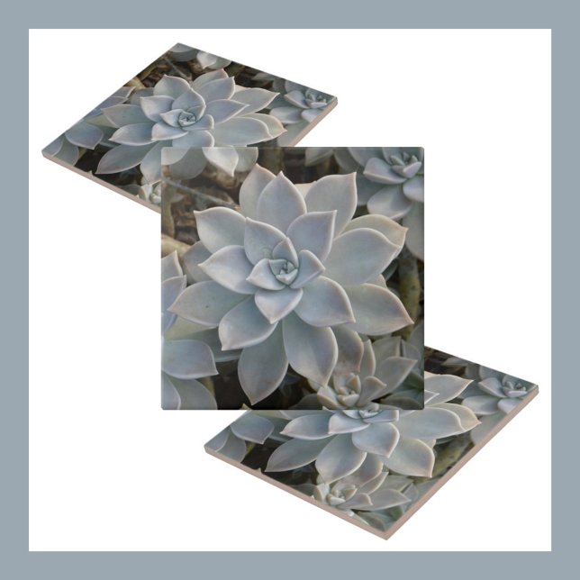 Silvery Blue Succulents Botanical Natural Tile (Creator Uploaded)