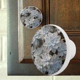 Silvery Blue Succulents Botanical Photographic Ceramic Knob