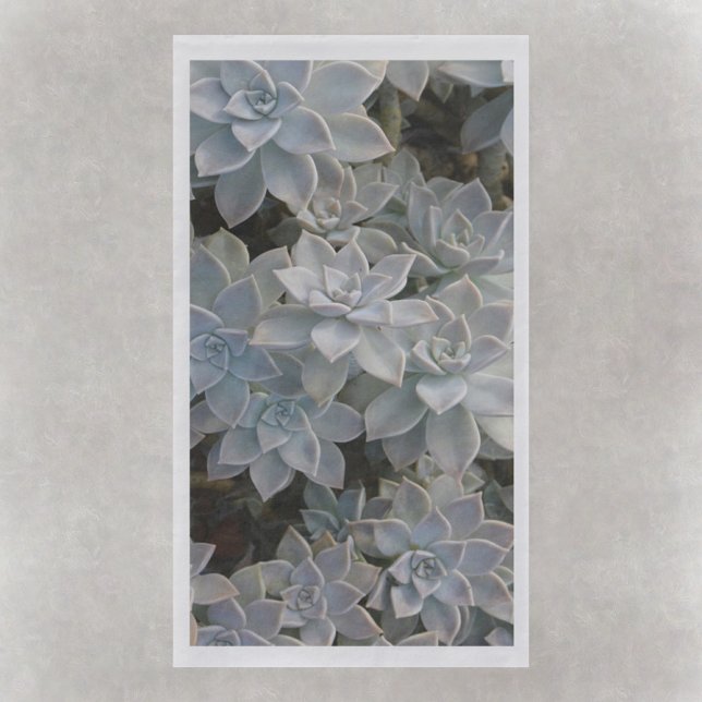 Silvery Blue Succulents Napkin (Creator Uploaded)