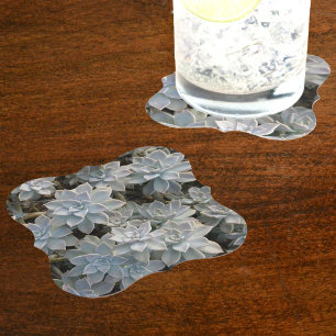 Silvery Blue Succulents Paper Coaster