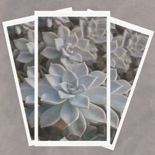 Silvery Blue Succulents  Paper Guest Towels Napkin