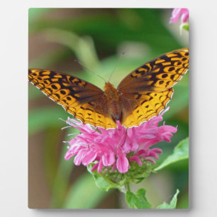 Silvery Checkerspot Butterfly Plaque
