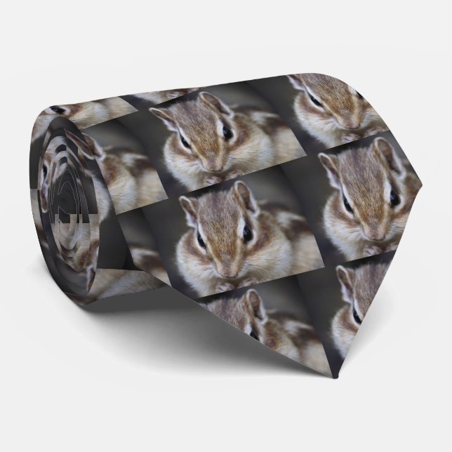 Simaris Tie (Rolled)