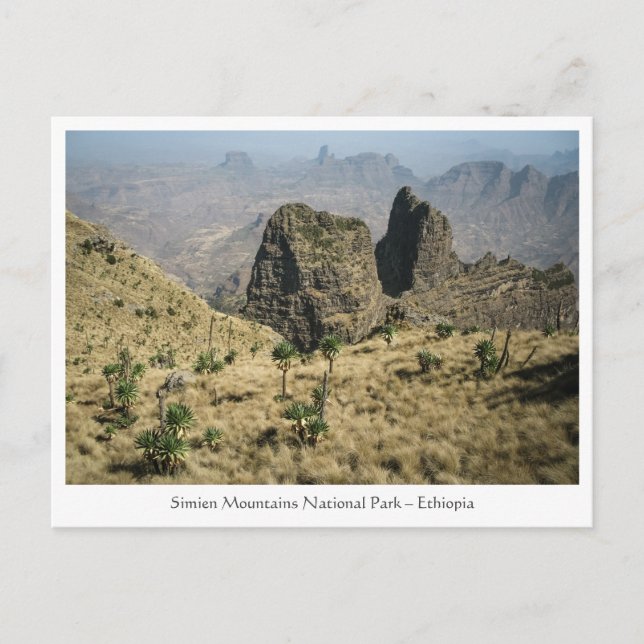 Simien Mountains Ethiopia Postcard (Front)