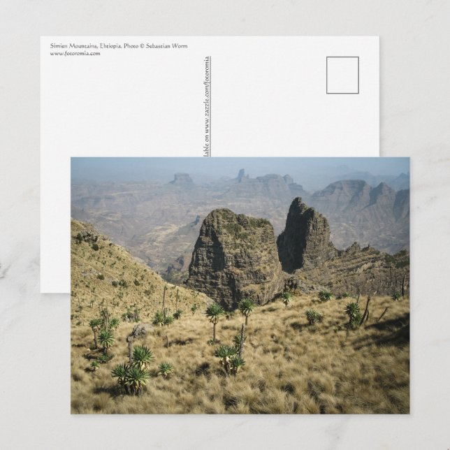 Simien Mountains Ethiopia Postcard (Front/Back)