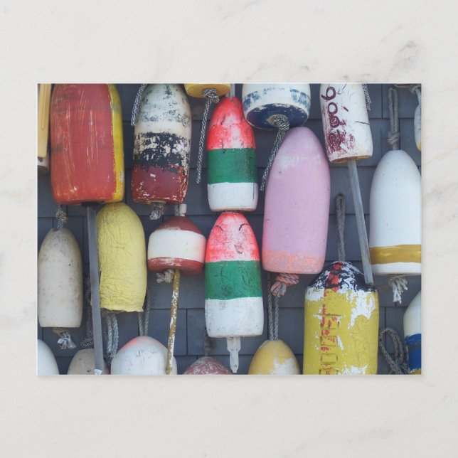 Similarity in a Sea of Differences Postcard (Front)