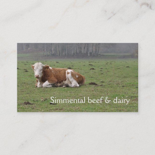 Simmental cow business card (Front)
