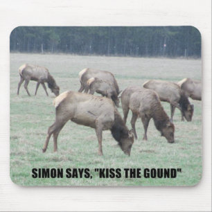 Simon says... mouse pad