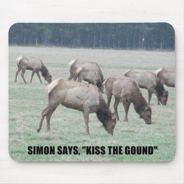 Simon says... mouse pad (Front)
