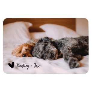 Simpl Modern Full Photo Pet Dog   Horizontal Magnet