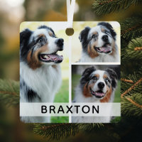 Simple 3 Photo Custom Pet